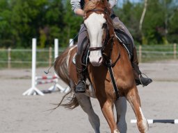 IMG_0664_web